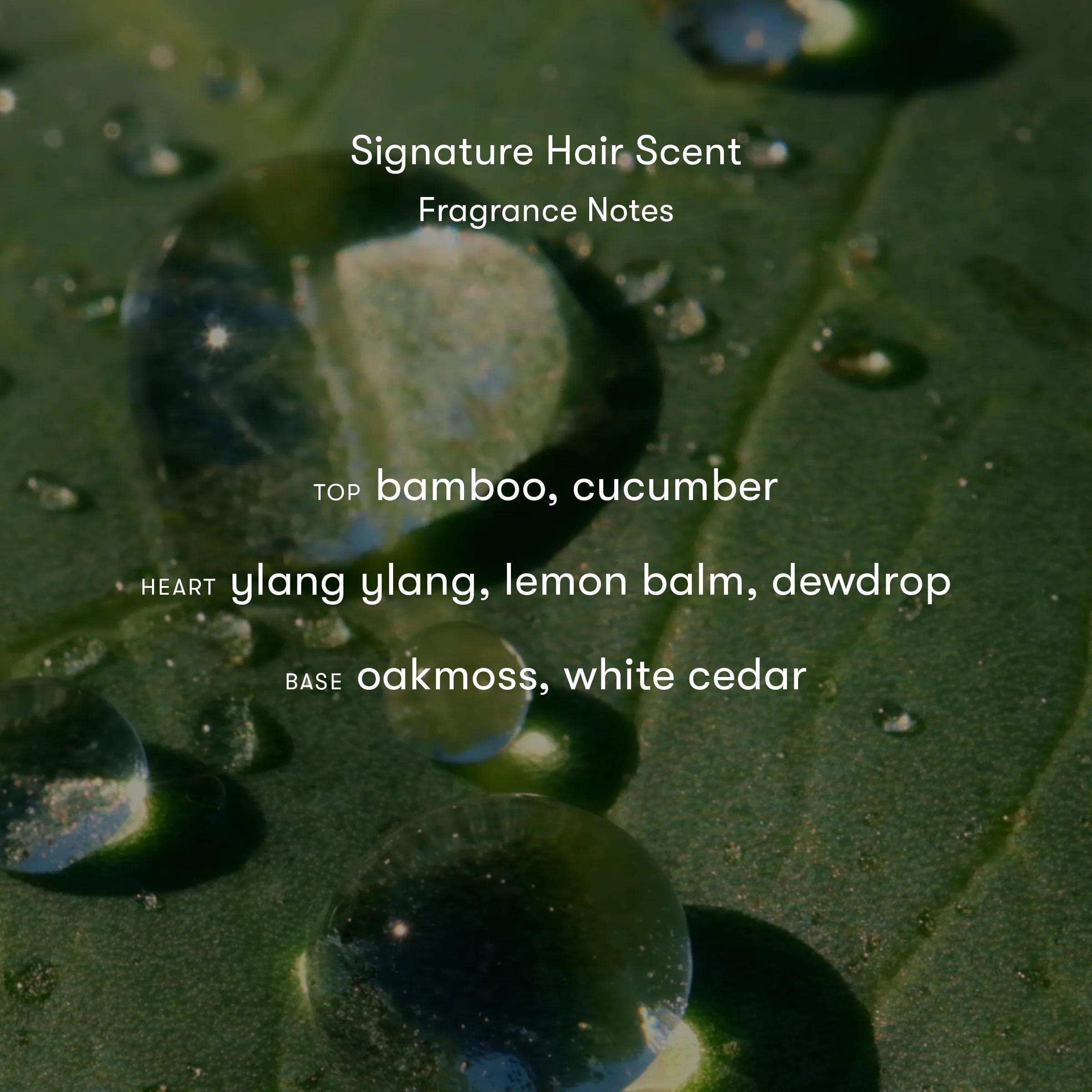 Signature Hair Scent - Image 6